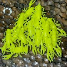 Load image into Gallery viewer, SlimeCraws