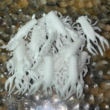 Load image into Gallery viewer, SlimeCraws