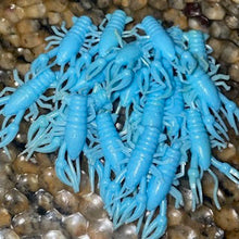 Load image into Gallery viewer, SlimeCraws