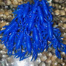 Load image into Gallery viewer, SlimeCraws