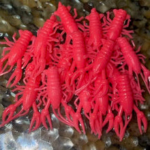 Load image into Gallery viewer, SlimeCraws