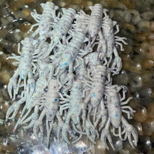 Load image into Gallery viewer, SlimeCraws