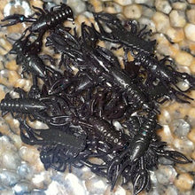 Load image into Gallery viewer, SlimeCraws