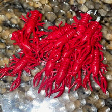 Load image into Gallery viewer, SlimeCraws