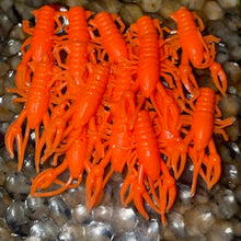 Load image into Gallery viewer, SlimeCraws