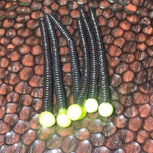 Load image into Gallery viewer, SlimeWorms